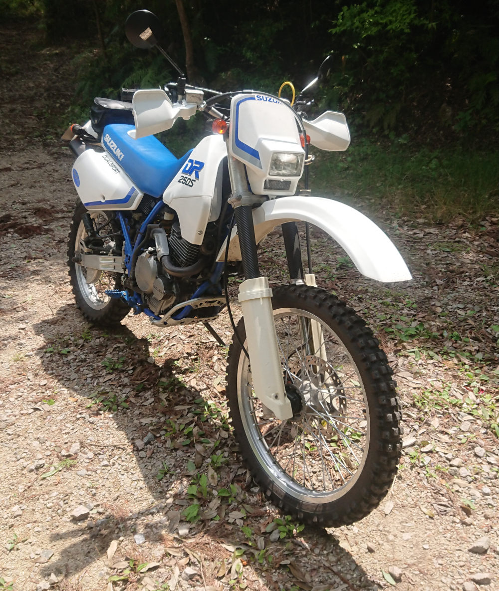 DR250S-after